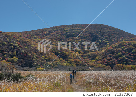 Kuju Mountain Range Autumn of Bogatsuru 81357308