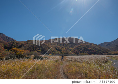寶月的九重山脈之秋 寶月的九重山脈之秋 81357309