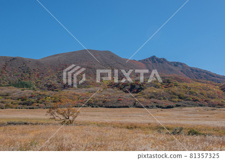 Kuju Mountain Range Autumn of Bogatsuru 81357325
