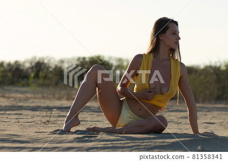 Confident young sensual lady resting on sandy seashore in sunlight Confident young sensual lady resting on sandy seashore in sunlight 81358341