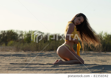 Confident young sensual lady resting on sandy seashore in sunlight Confident young sensual lady resting on sandy seashore in sunlight 81358342
