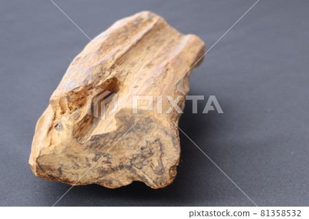 Agarwood Kyara Copy Space 1 Agarwood Kyara Copy Space 1 81358532