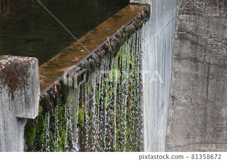 Mikawa Moo Valley 81358672