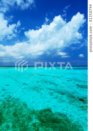 Summer Okinawa Ikema Island Beautiful sea shining like a jewel 81358744