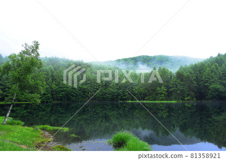 長野Okushinshin Oike池塘 81358921