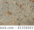 落葉散落在碎石上 81358943