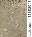 落葉散落在地上 81358945