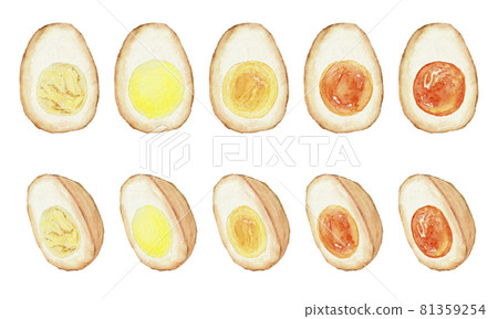 用水彩材料繪製的調味雞蛋的插圖集 81359254