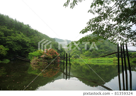 Beautiful lake reflection, daily leisure town 81359324