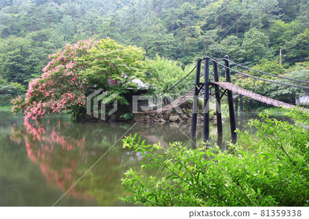 Beautiful lake reflection, daily leisure town Beautiful lake reflection, daily leisure town 81359338