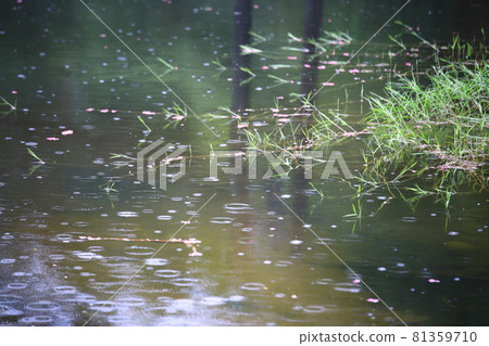Summer day scenery!, Daily Leisure Town 81359710