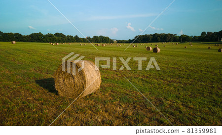 A bird's-eye view of a field with haystacks. A bird's-eye view of a field with haystacks. 81359981