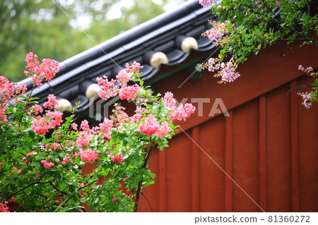Summer day temple scenery, Songgwangsa Temple 81360272