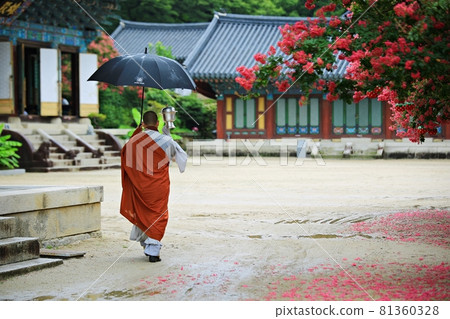 Summer day temple scenery, Songgwangsa Temple 81360328