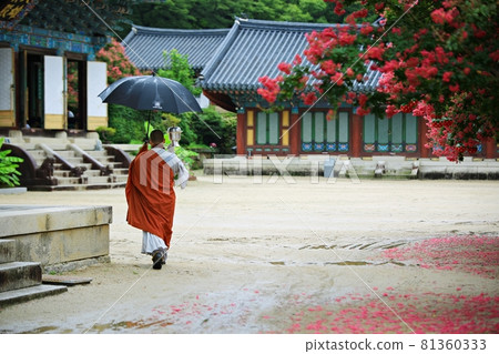 Summer day temple scenery, Songgwangsa Temple 81360333