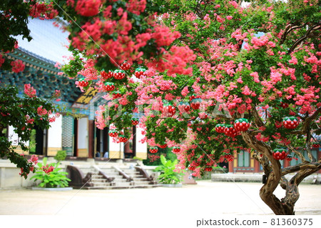 Summer day temple scenery, Songgwangsa Temple Summer day temple scenery, Songgwangsa Temple 81360375