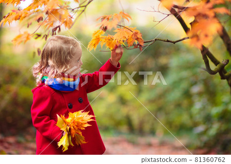 Child in fall park. Kid with autumn leaves. Child in fall park. Kid with autumn leaves. 81360762