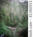 landscape photography 81360931