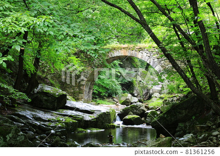 Temple scenery, temple tour, Temple scenery, temple tour, 81361256