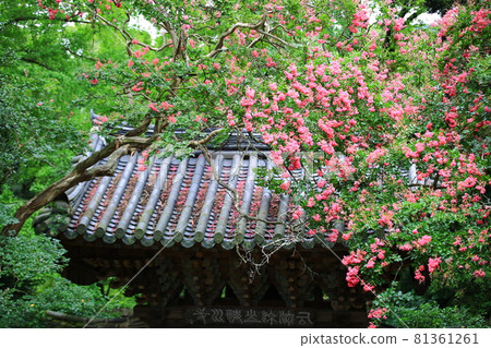 寺廟風景、寺廟旅遊、 寺廟風景、寺廟旅遊、 81361261
