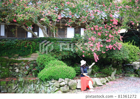 寺廟風景、寺廟旅遊、 81361272