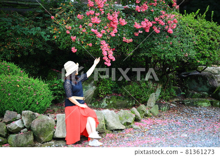 Temple scenery, temple tour, Temple scenery, temple tour, 81361273