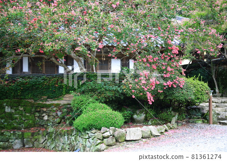 Temple scenery, temple tour, 81361274