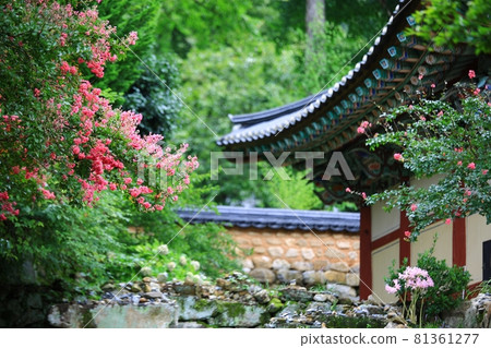 Temple scenery, temple tour, 81361277