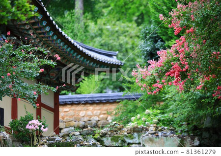 Temple scenery, temple tour, Temple scenery, temple tour, 81361279