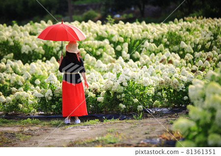 Temple scenery, temple tour, Temple scenery, temple tour, 81361351