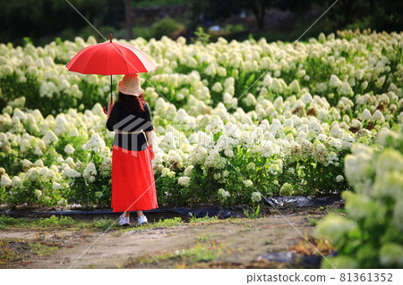 Temple scenery, temple tour, Temple scenery, temple tour, 81361352