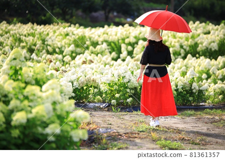 Temple scenery, temple tour, Temple scenery, temple tour, 81361357