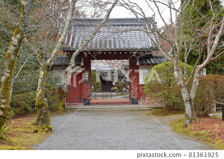 [Autumn leaves of Rakuhoku, Kyoto] Autumn image 81361925