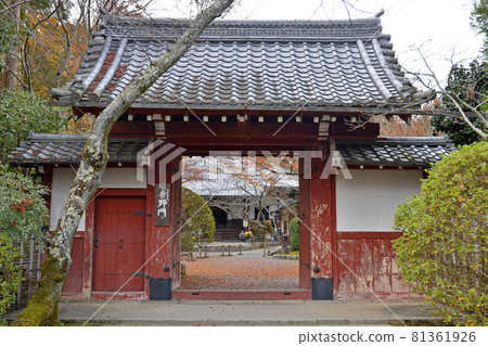 [Autumn leaves of Rakuhoku, Kyoto] Autumn image 81361926