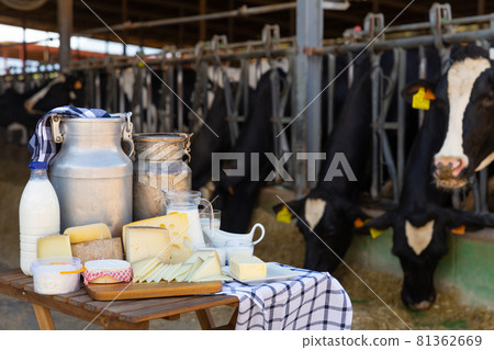 Image of dairy products on the farm Image of dairy products on the farm 81362669