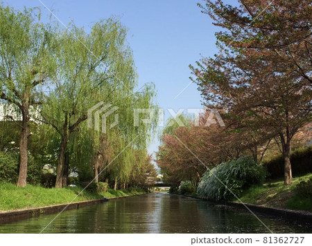 Scenery from Kyoto Fushimi Toshibune and Thirty Ishibune 81362727