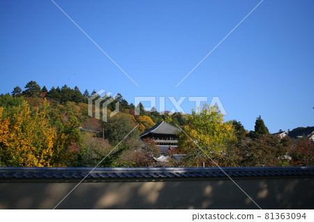 World Heritage National Treasure Todai-ji Temple 81363094