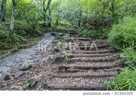 筑波山徒步路線【日本名山百景】/日本茨城縣筑波市 筑波山徒步路線【日本名山百景】/日本茨城縣筑波市 81364104
