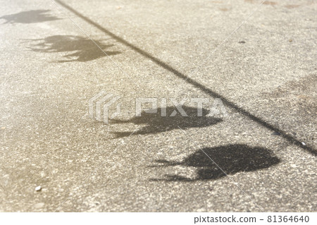 The traditional culture of Orchid Island in Taiwan - showing flying fish and the shadow of flying fish on the ground 81364640