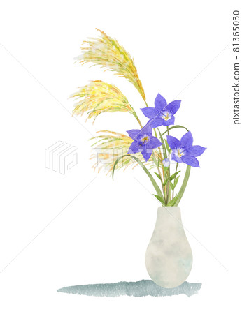 Kikyo flowers and pampas grass in a vase 81365030