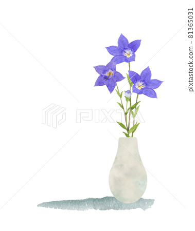 花瓶水彩畫中的桔梗花 花瓶水彩畫中的桔梗花 81365031