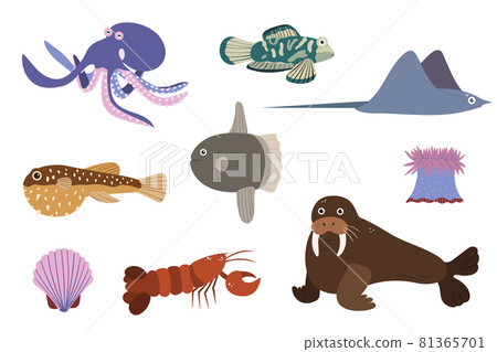Set of sea animals - octopus stringray walrus omar sunfish. Undersea world habitants print. Hand drawn underwater life collection. Funny cartoon marine animals character for kid. 81365701