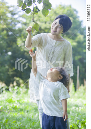 Parents and children playing in the green garden 81366212