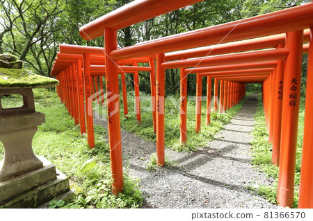 Tenmei Inari Shrine, which stands quietly in the forest of Togakushi Plateau 81366570