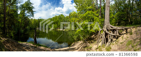 A small lake in the middle of the summer forest A small lake in the middle of the summer forest 81366598