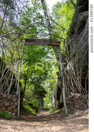 Entrance to the canyon from natural materials Entrance to the canyon from natural materials 81366599