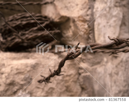 first world war wwi barbed wire 81367558