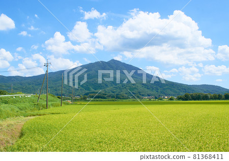 Mount Tsukuba 81368411