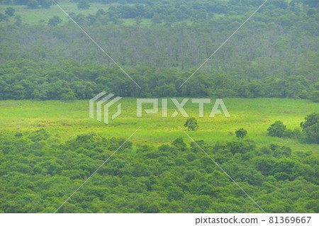 釧路沼澤 釧路沼澤 81369667