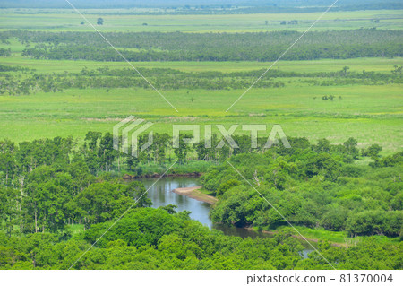 Kushiro Marsh 81370004